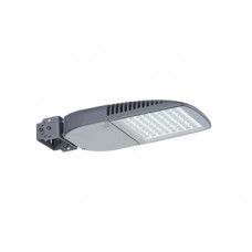 FREGAT FLOOD LED/B 110W D30 750 RAL9006 1426000340 Световые технологии