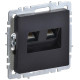 Розетка компьютерная двойн. СП RJ45 кат.6 BRITE РК11-2-БрЧ механизм черн. IEK BR-K20-2-K02