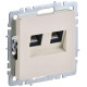 Розетка компьютерная двойн. СП RJ45 кат.6 BRITE РК11-2-БрКр механизм беж. IEK BR-K20-2-K10