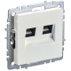 Розетка компьютерная двойн. СП RJ45 кат.6 BRITE РК11-2-БрЖ механизм жемчуж. IEK BR-K20-2-K36