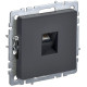 Розетка компьютерная СП RJ45 кат.6 BRITE РК11-БрГ механизм графит IEK BR-K10-2-K53