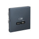 Розетка USB ArtGallery тип C 65Вт QC PD высокоскор. ЗУ механизм грифель SE GAL000727