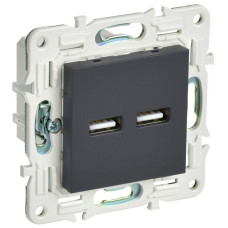 Розетка USB A+A 3.1А SKANDY SK-R15G графит IEK SK-U21-D31-K53