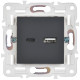 Розетка USB A+C 18Вт SKANDY SK-R13G графит IEK SK-U22-018-K53