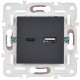 Розетка USB A+C 18Вт SKANDY SK-R13T титан IEK SK-U22-018-K48