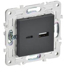 Розетка USB A+C 3.1А SKANDY SK-R14T титан IEK SK-U22-D31-K48