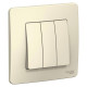 Выключатель 3-кл. СП Blanca 10А IP20 (сх. 1+1+1) 250В молочн. SE BLNVS100502