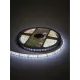 Лента светодиодная SMD2835-120 LED/м-IP65-12 В-9,6 Вт/м-6000 К (5 м) блистер TDM