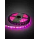 Лента светодиодная SMD5050-60 LED/м-IP65-12 В-14,4 Вт/м-RGB (5 м) блистер TDM