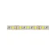 Лента светодиодная SMD5050-60 LED/м-IP65-12 В-14,4 Вт/м-6000 К (5 м) блистер TDM