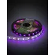 Лента светодиодная SMD5050-60 LED/м-IP20-12 В-14,4 Вт/м-RGB (5 м) блистер TDM