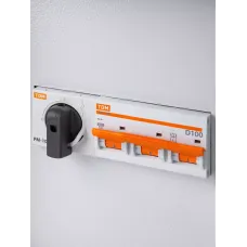 ЯРП-100А модульный IP54 (РМ-100 + ВА 47-100) TDM