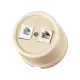 Розетка телефонная RJ11 + компьютерная RJ45 сл. кость «Болонь» TDM