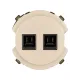 Розетка компьютерная двойная RJ45 шампань, 