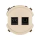 Розетка телефонная RJ11 + компьютерная RJ45 шампань, 