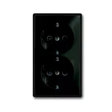 Розетка 2-м Schuko Basic 55 16А 250В защ. шторки black ABB 2021-0-0381