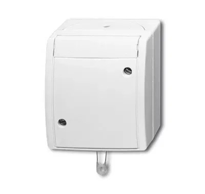 Переключатель со шнурком для открытого монтажа IP44 ocean альпийский бел. ABB 1383-0-0143