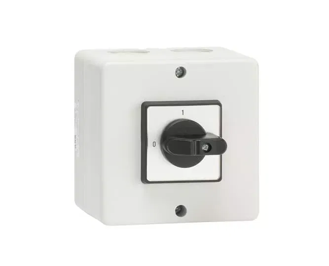 Переключатель кулачковый 2-х поз. ONA3EPB 3ур. 25А в боксе ABB 1SCA022662R3500