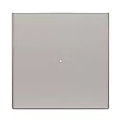Клавиша одинарная SR-1-85PL free@home SKY серебр. ABB 2CLA852620A1301