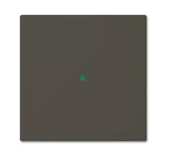 Клавиша одинарная SR-1-95 free@home Basic 55 chateau-черн. ABB 6220-0-0686