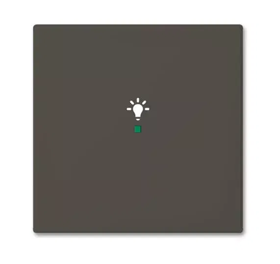 Клавиша одинарная SRL-1-95 free@home освещение Basic 55 chateau-черн. ABB 6220-0-0687