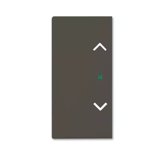 Клавиша двойная SRB-2-95 free@home жалюзи Basic 55 chateau-черн. ABB 6220-0-0693