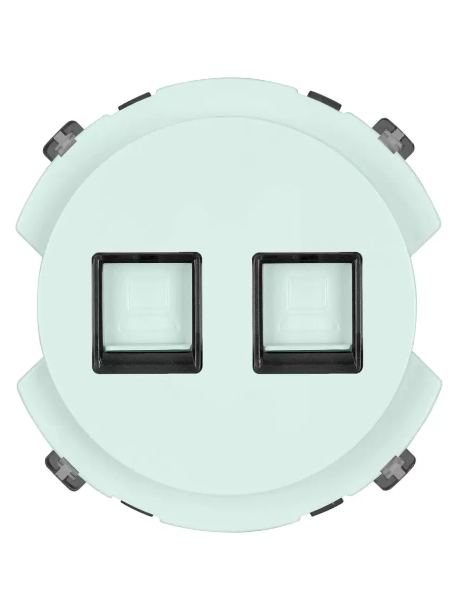 Розетка компьютерная двойная RJ45 фисташковая, "Байкал" TDM