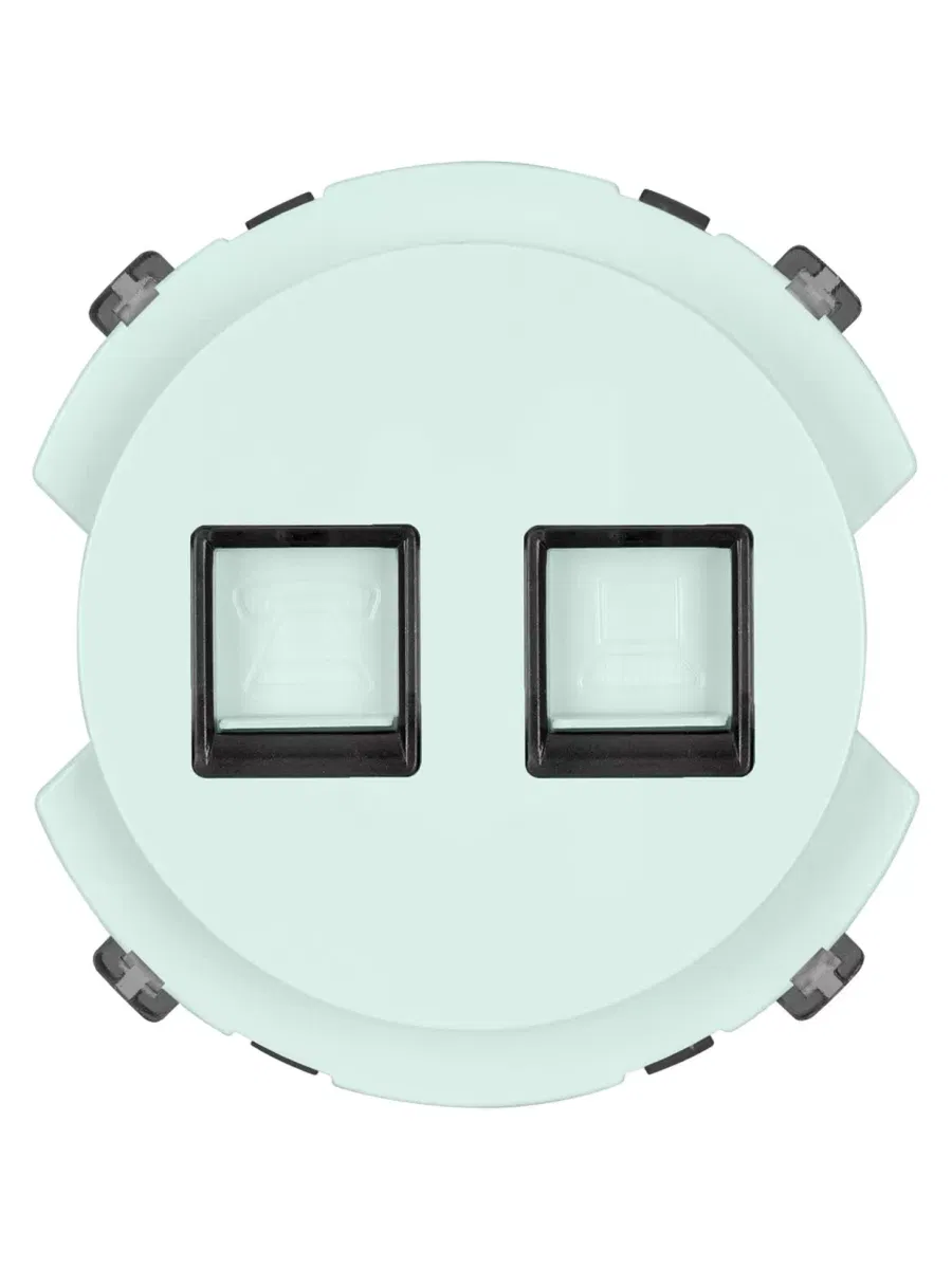 Розетка телефонная RJ11 + компьютерная RJ45 фисташковая, "Байкал" TDM