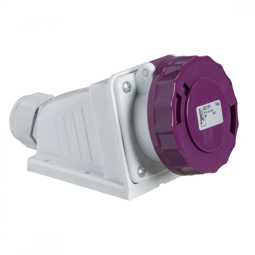 Настен Роз  16A 2P 20-25V Ip67 82151 Schneider Electric