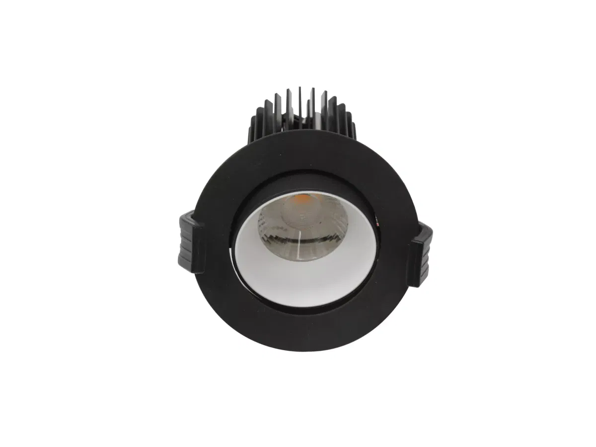 COOL ADJUSTABLE 07 BL/WH D45 3000K (with driver) 1412001050 Световые технологии