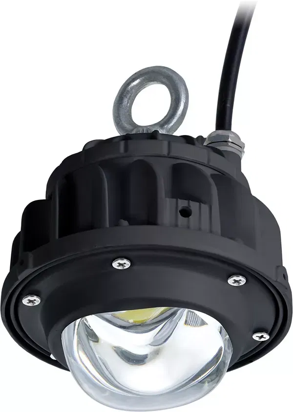 ACORN LED 30 D120 Ex 5000K 127 VAC светильник Световые Технологии 1490000440