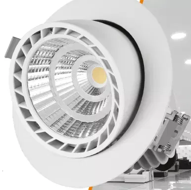 Светильник LED "ВАРТОН" Downlight поворотный круглый 40° 170*140 мм 30W 4000K 1/12 Varton V1-R0-00059-10R03-2003040