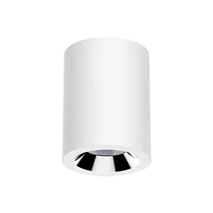 Светильник LED "ВАРТОН" DL-02 Tube накладной 220*150 55W 3000K 35° RAL9010 белый матовый Varton V1-R0-00391-20000-2005530